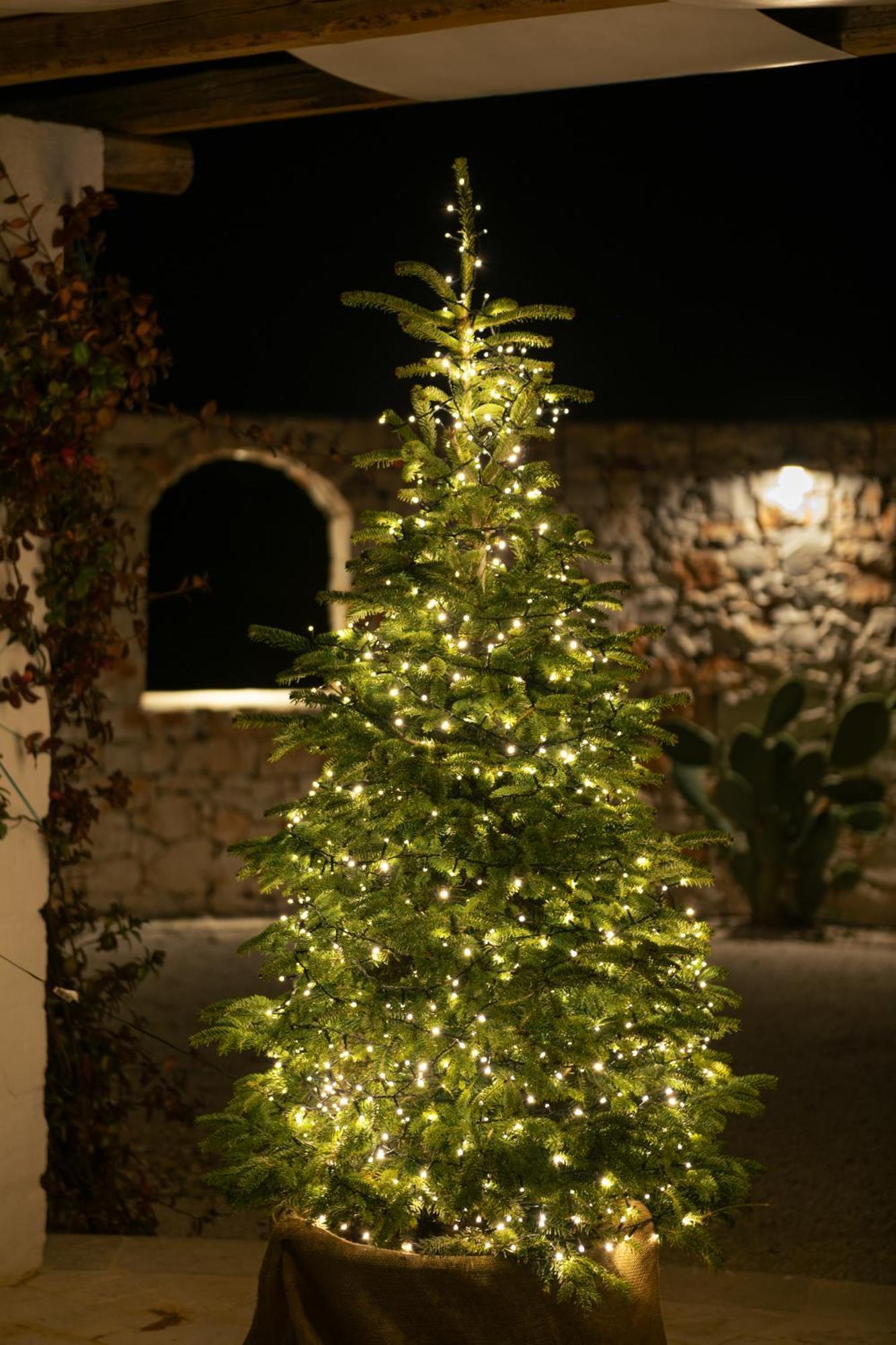 Trulli Del Conte Luxury Holiday Castellana Grotte Esterno foto