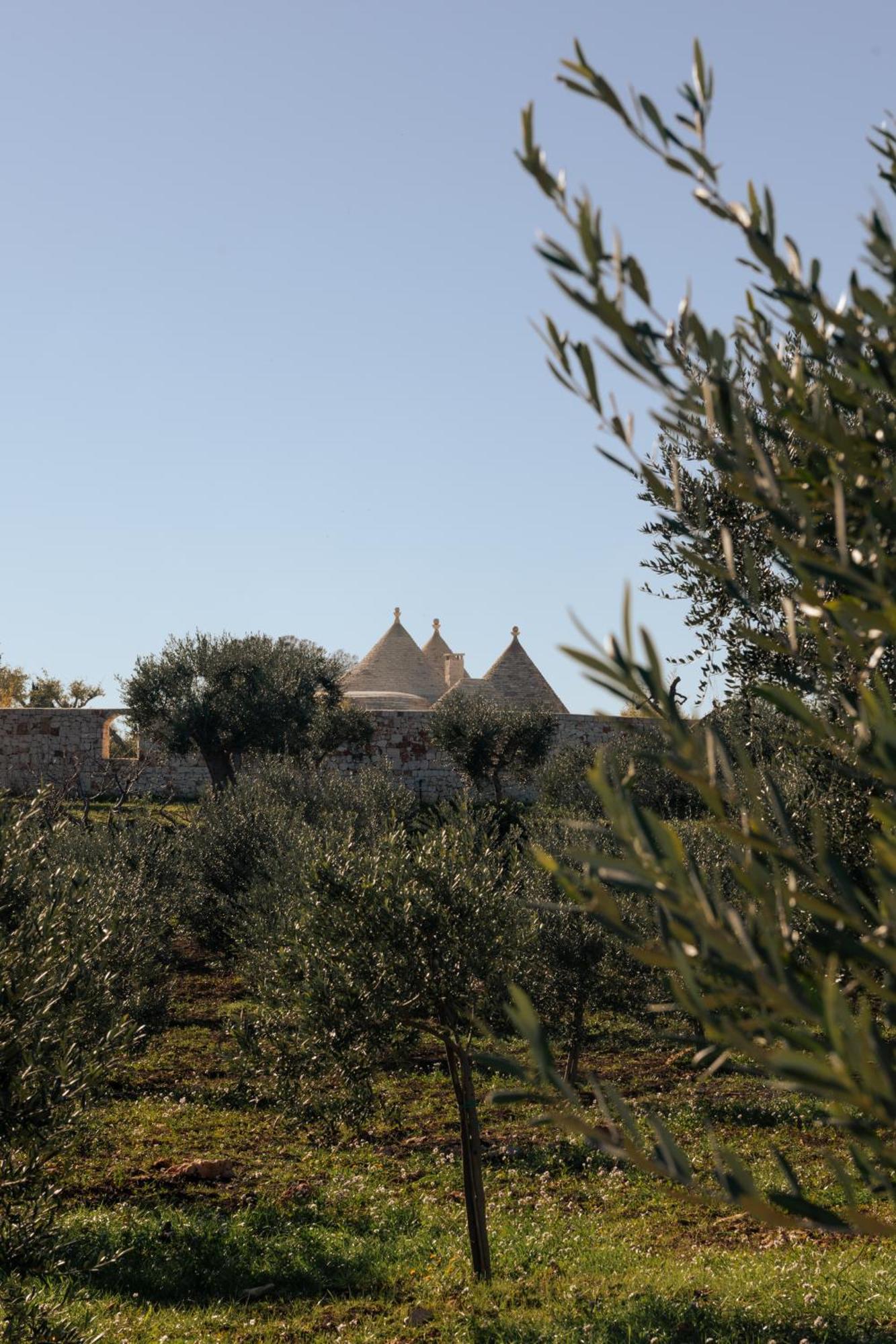 Trulli Del Conte Luxury Holiday Castellana Grotte Esterno foto